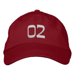 Hat cap sports hockey  Embroidered Hat, hat sport