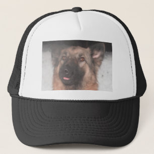 Hat German Shepherd Sticking Tongue Out