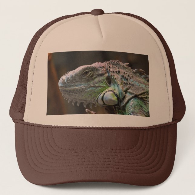 Hat with head of colourful Iguana lizard (Front)