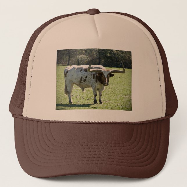 Hat with Long Horn Cow Image (Front)