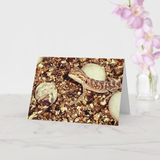 Hatching Bearded Dragon Card (Orchid)