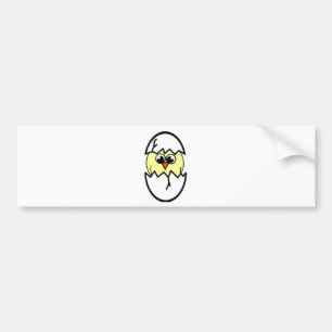 Hatching Chicken Bumper Sticker