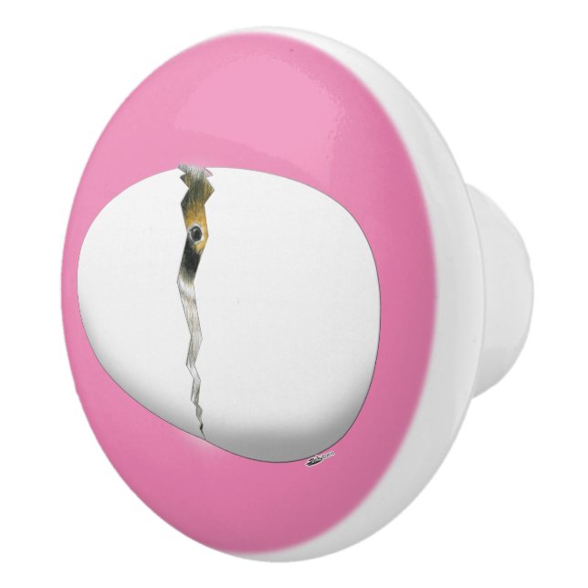 Hatching Egg Ceramic Knob (Right)