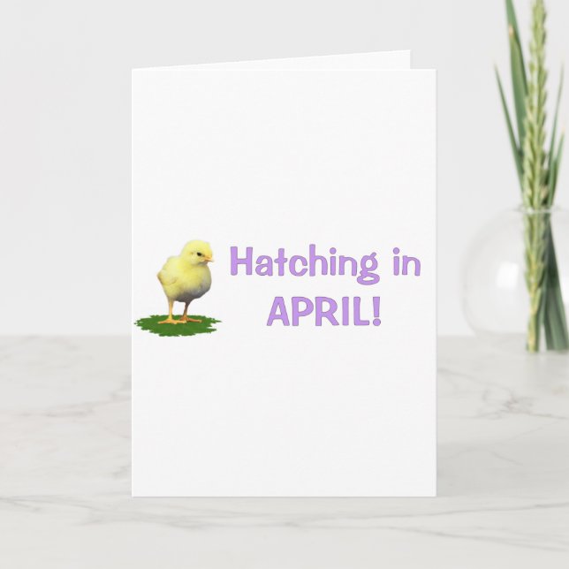 Hatching in April! Maternity/Pregnant Due In April Announcement (Front)