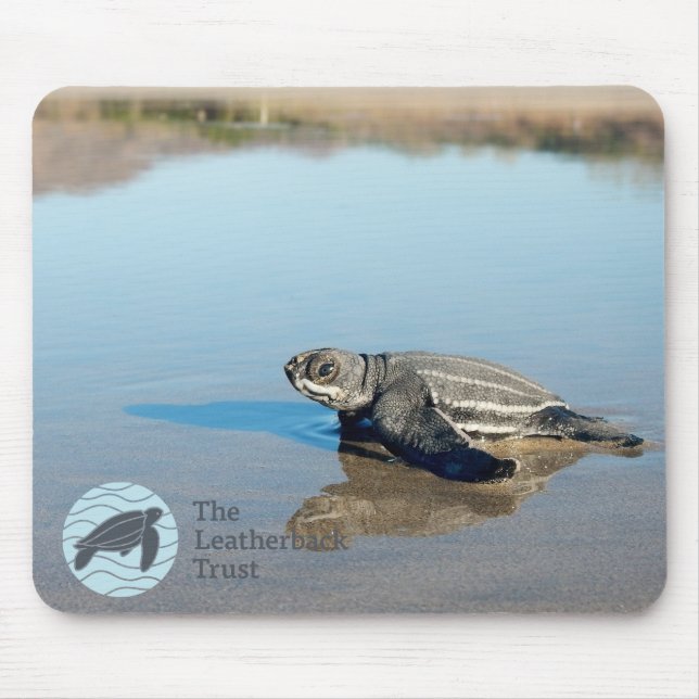 Hatchling Mousepad (Front)