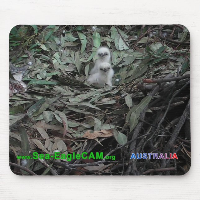 Hatchlings S1 & S2 Mousepad Horizontal (Front)