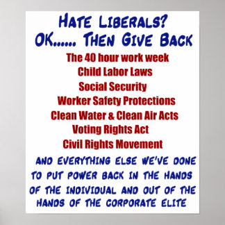 Hate Liberals? Poster