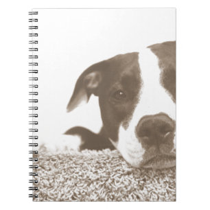 hate the deed not the breed friendly pitbull sepia notebook