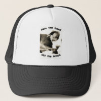 hate the deed not the breed pitbull