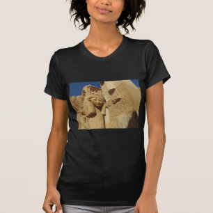 Hathor column - Queen Hatshepsut's Temple, egypt T-Shirt