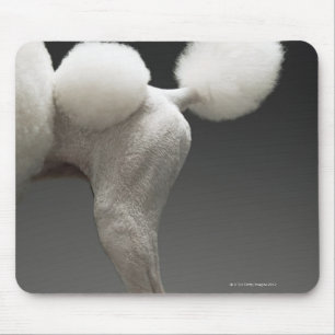 Haunches of Poodle, on grey background Mouse Mat
