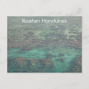 Haunduras Coral Reef Postcard