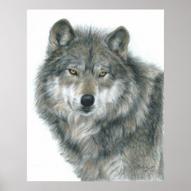 "Haunted Eyes" Wolf Poster by Artist Carla Kurt (Front)