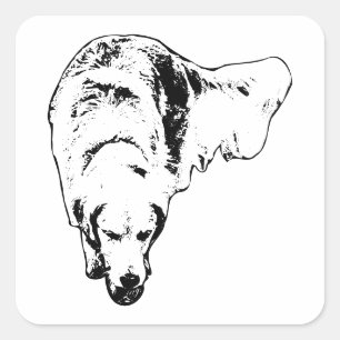 Haunted Focus Square Sticker
