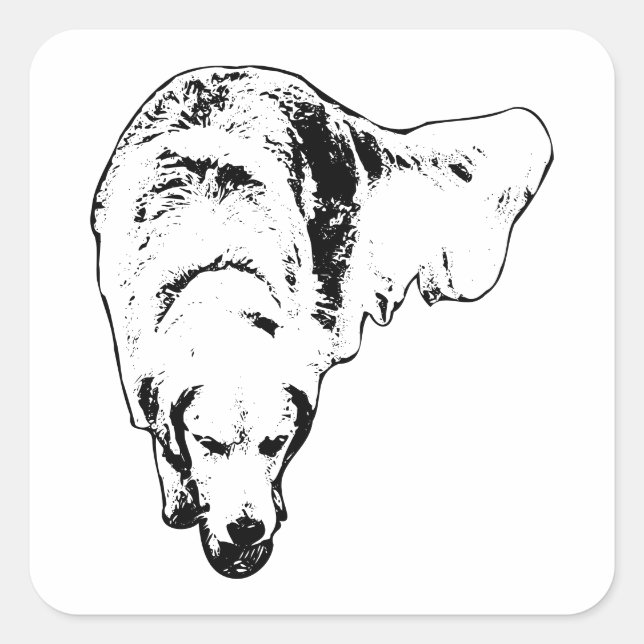 Haunted Focus Square Sticker (Front)
