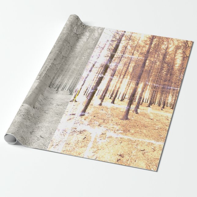 Haunted forest wrapping paper (Unrolled)