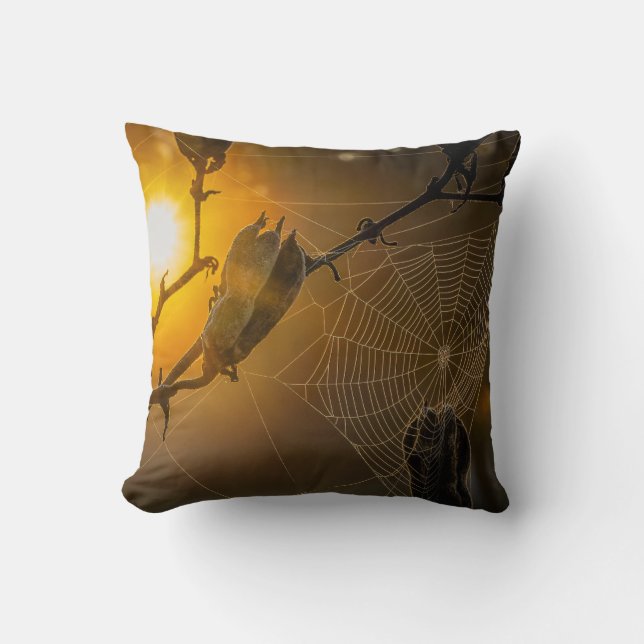 Haunted spiderweb in Cemetery pillow (Front)