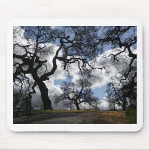 Haunted Trees Beautiful Natural Scenic Photo Mouse Mat