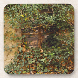 Haunted window coaster