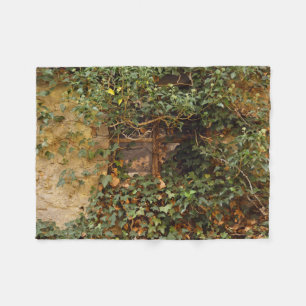 Haunted window       fleece blanket