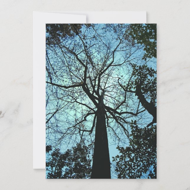 Haunted Woods Halloween Invitation (Front)