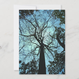 Haunted Woods Halloween Invitation