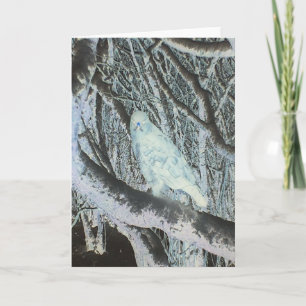 Haunting Buzzard Bird of Prey Dramatic Wildlife Card
