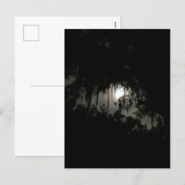 Haunting Dark Night Holiday Postcard