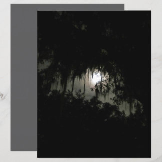 Haunting Dark Night Scrapbook Paper