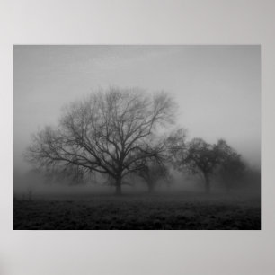 Haunting Fog Canvas Poster