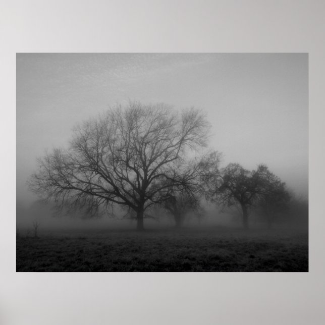 Haunting Fog Canvas Poster (Front)