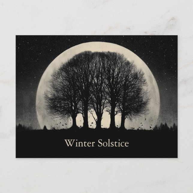 Hauntingly Beautiful Silhouette of Bare Trees Postcard (Front)