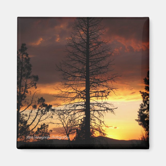 Hauntingly Beautiful Sunset Magnet (Front)