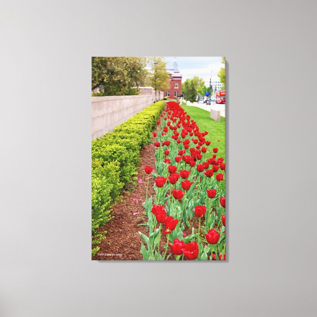 Haupt Bulbs Canvas Print (Front)