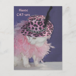 Haute CAT-ure Postcard