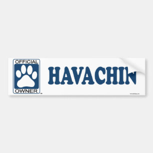 Havachin Blue Bumper Sticker