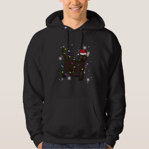 Havana Brown Cat Christmas Light Christmas Cat San Hoodie