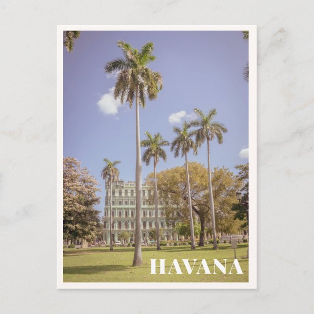 Havana Cuba Green Palm Trees & Architecture Postcard (Front)