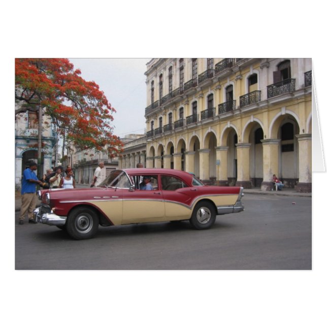 havana vintage (Front Horizontal)