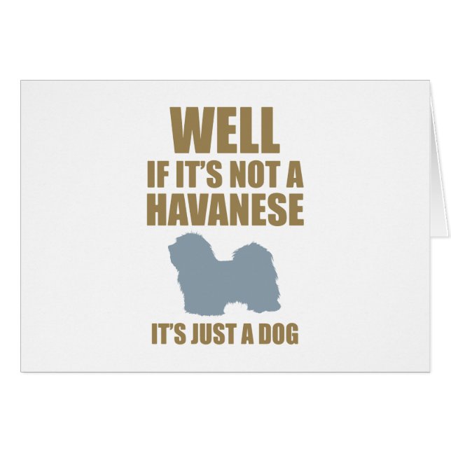 Havanese (Front Horizontal)