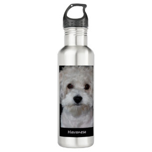 Havanese 710 Ml Water Bottle