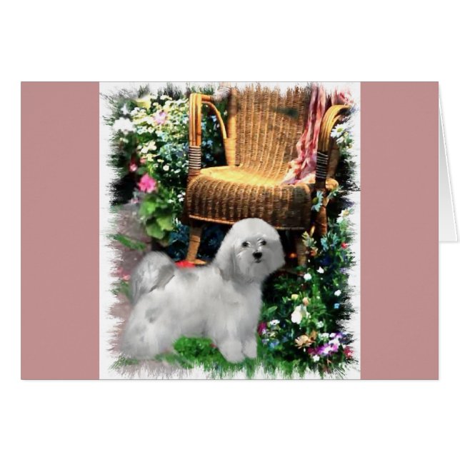 Havanese Art Gifts (Front Horizontal)