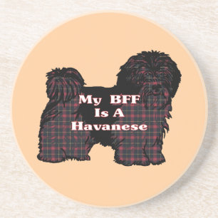 HAVANESE BFF COASTER