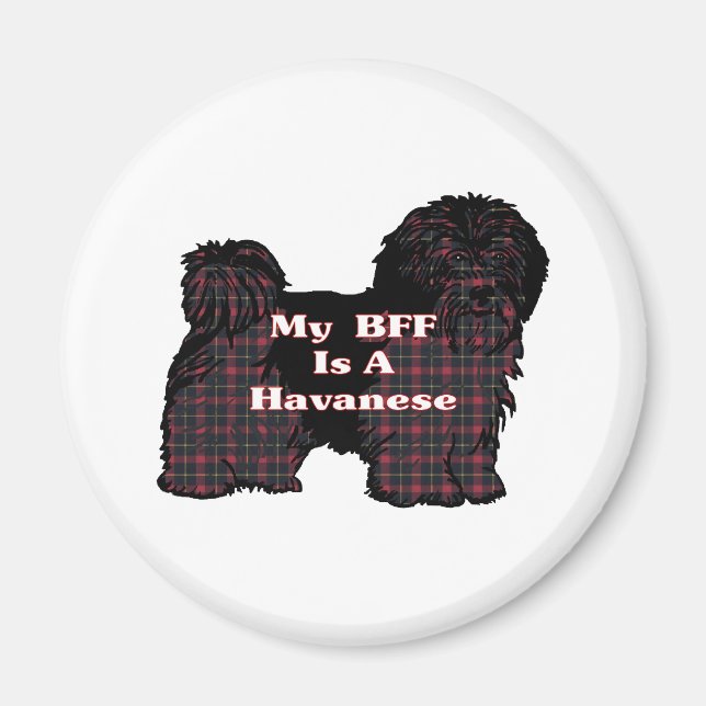 HAVANESE BFF Gifts Magnet (Front)