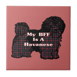 HAVANESE BFF TILE