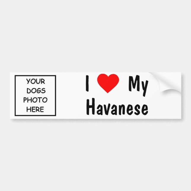 Havanese Bumper Sticker (Front)
