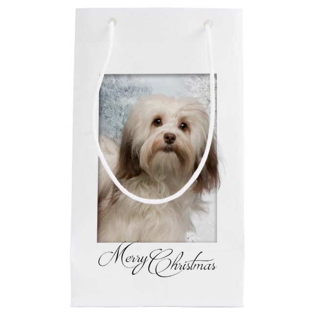 Havanese Christmas Gift Bag (Front)