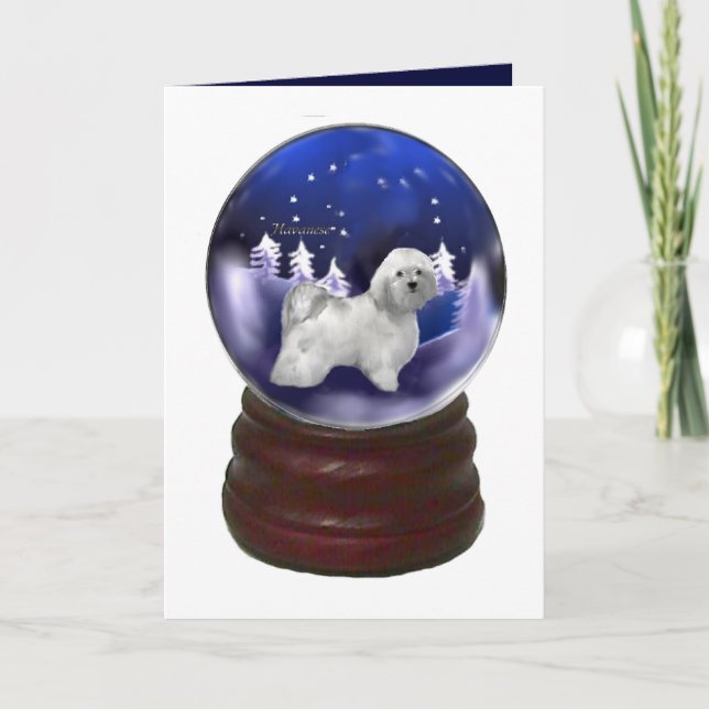 Havanese Christmas Gifts Holiday Card (Front)