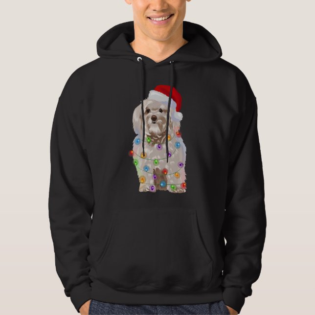 Havanese Christmas Lights Xmas Dog Lover Santa Hat Hoodie (Front)