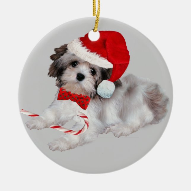 Havanese Christmas Ornament (Front)